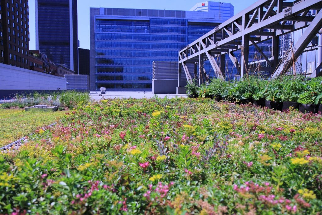 Toit Palais des congrès Montréal