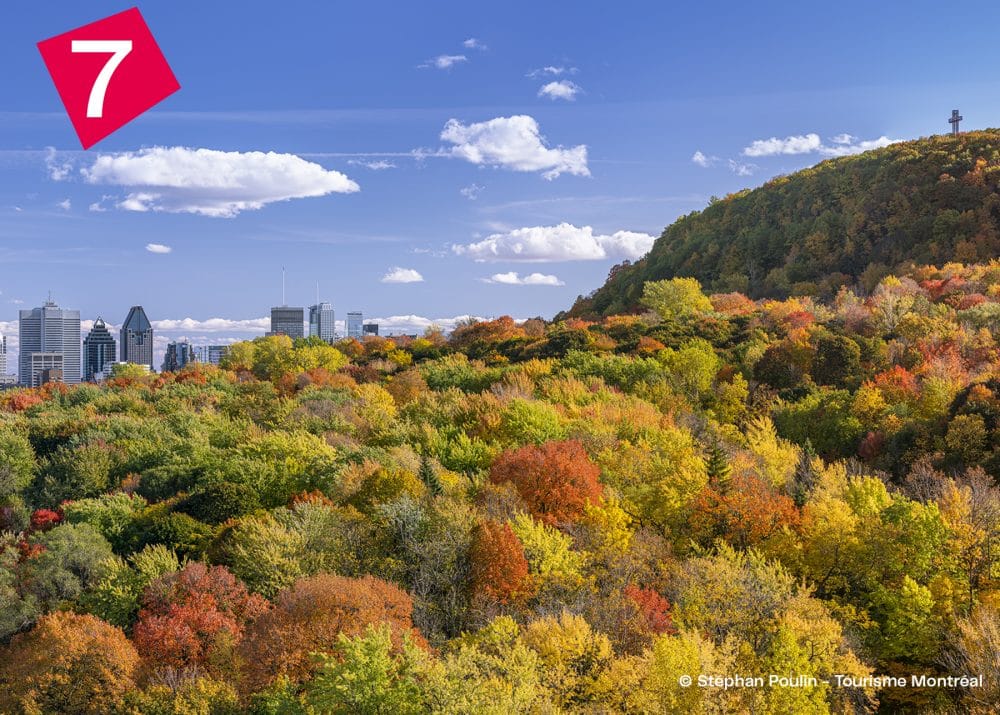 Mont-royal